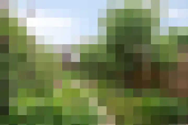 Selijnsweg 18 Waverveen thumbnail 30