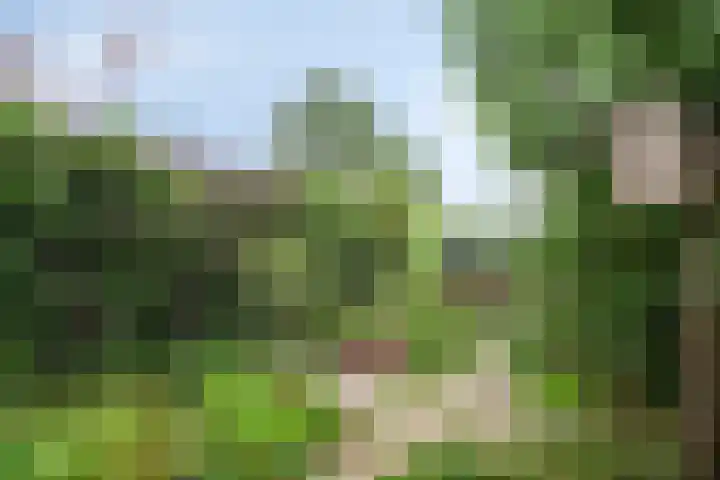 Selijnsweg 18 Waverveen thumbnail 31