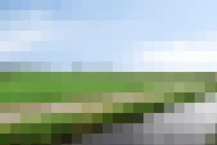 Selijnsweg 18 Waverveen thumbnail 33