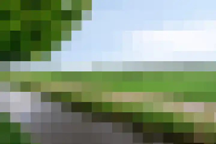 Selijnsweg 18 Waverveen thumbnail 34