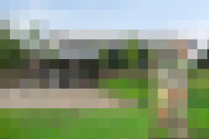 Selijnsweg 18 Waverveen thumbnail 35