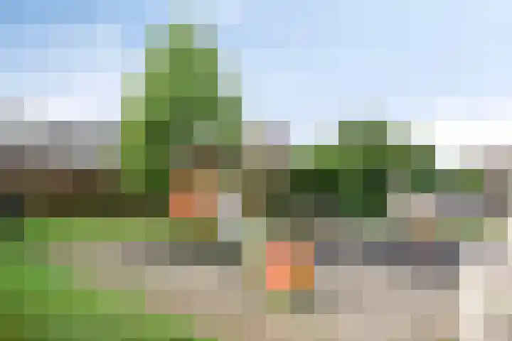 Selijnsweg 18 Waverveen thumbnail 36