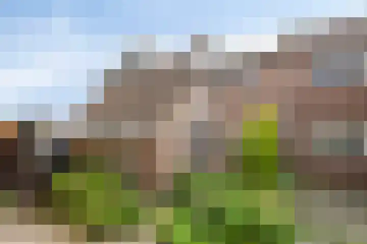 Selijnsweg 18 Waverveen thumbnail 37