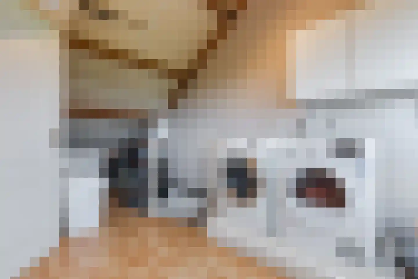 Selijnsweg 36 Waverveen thumbnail 32