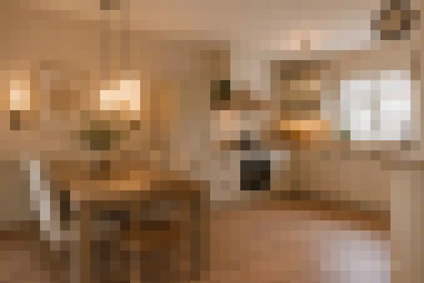 Selijnsweg 36 Waverveen thumbnail 5