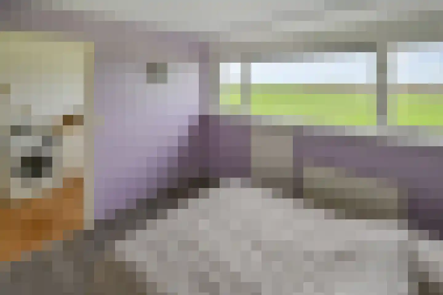Selijnsweg 52 Waverveen thumbnail 21