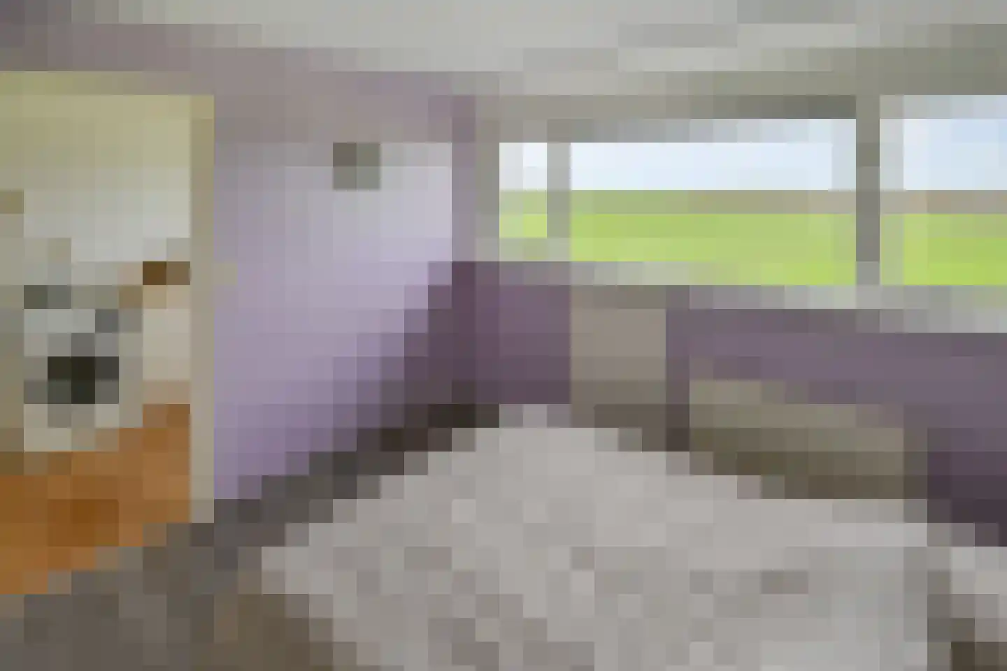 Selijnsweg 52 Waverveen thumbnail 21