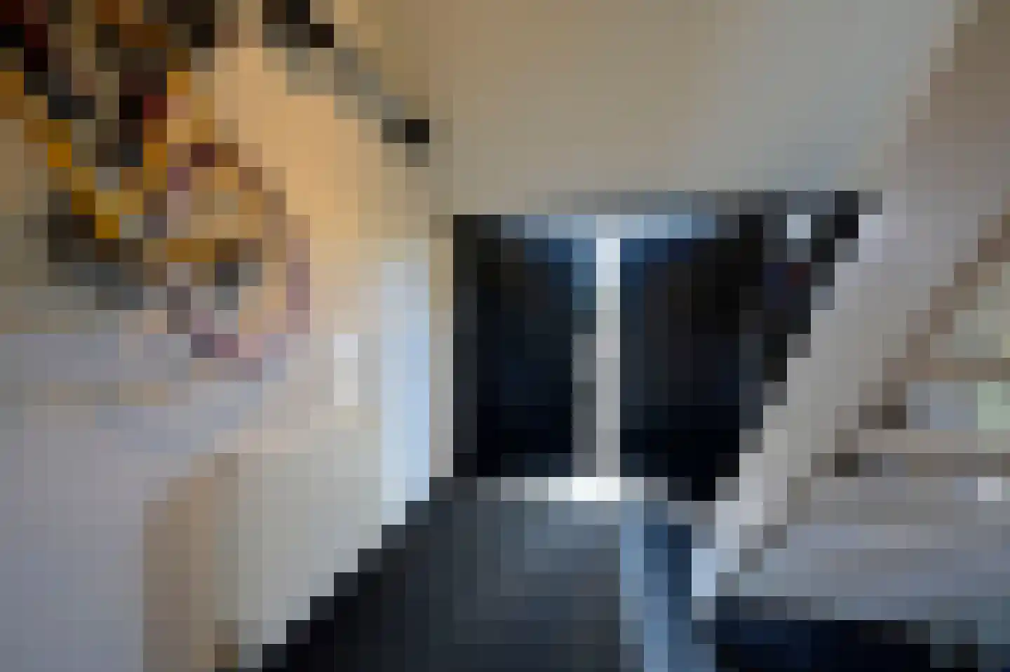 Selijnsweg 64 Waverveen thumbnail 15