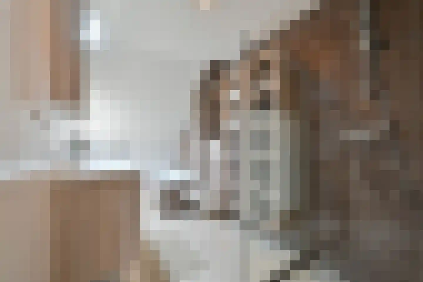 Selijnsweg 64 Waverveen thumbnail 18