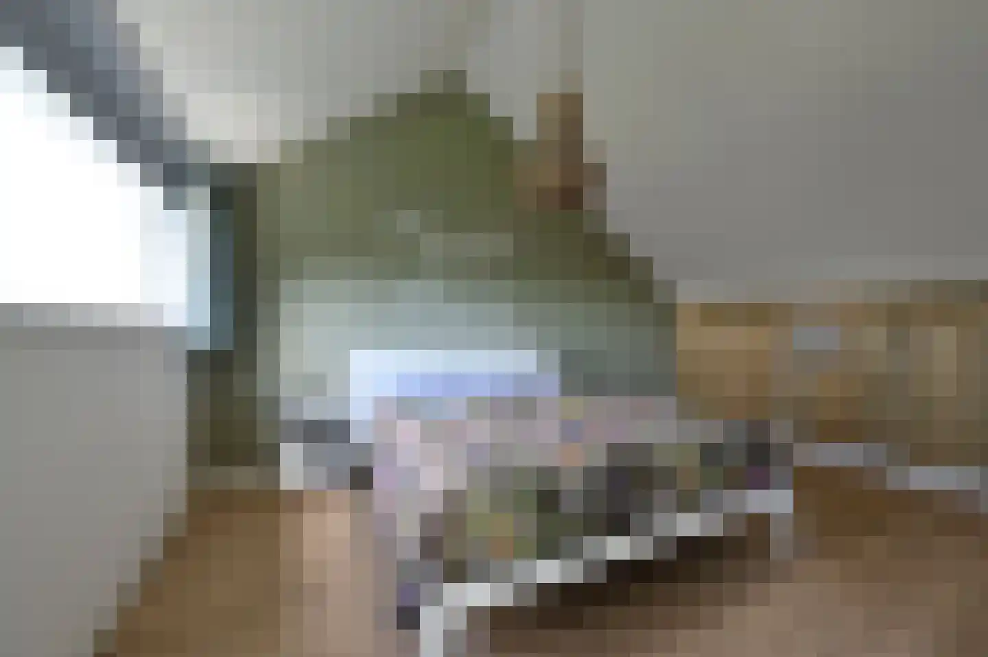 Selijnsweg 64 Waverveen thumbnail 20
