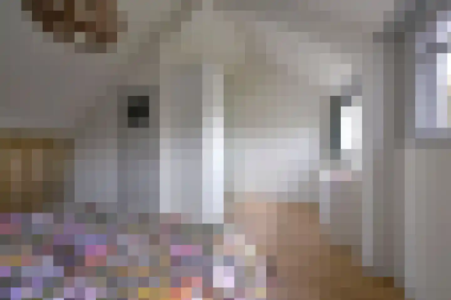 Selijnsweg 64 Waverveen thumbnail 21