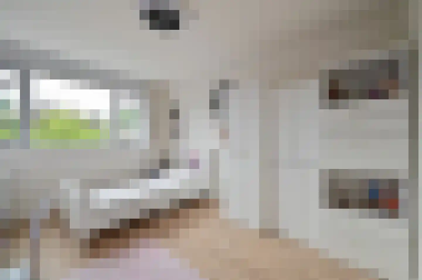 Selijnsweg 64 Waverveen thumbnail 26