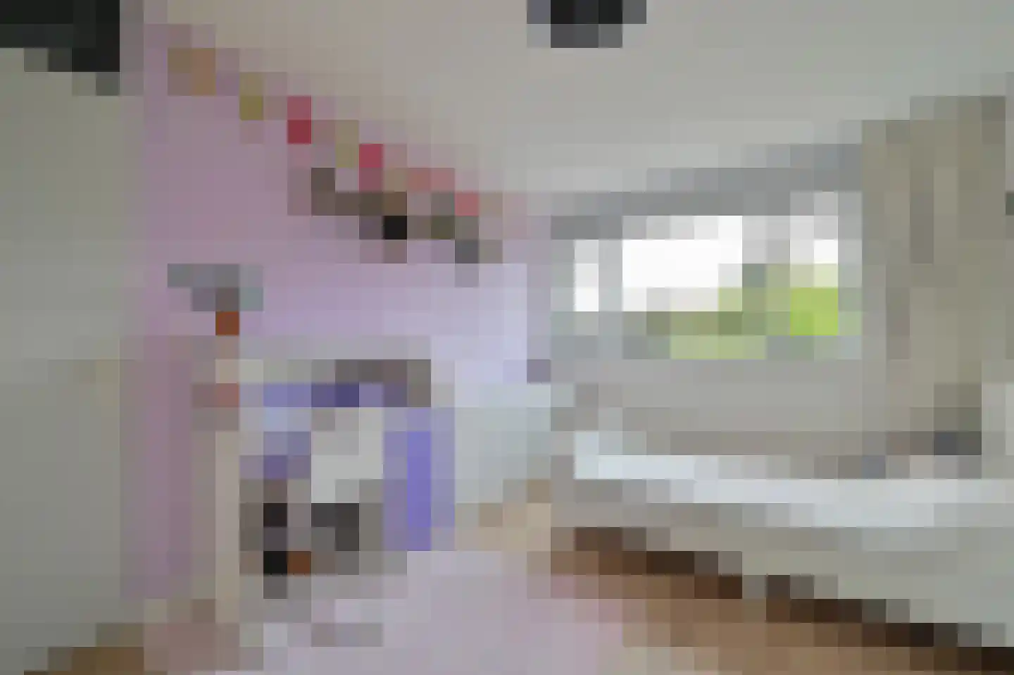 Selijnsweg 64 Waverveen thumbnail 27