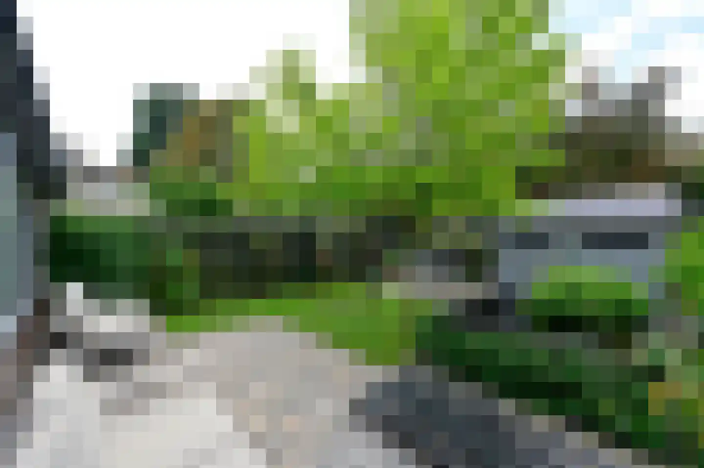 Selijnsweg 64 Waverveen thumbnail 29