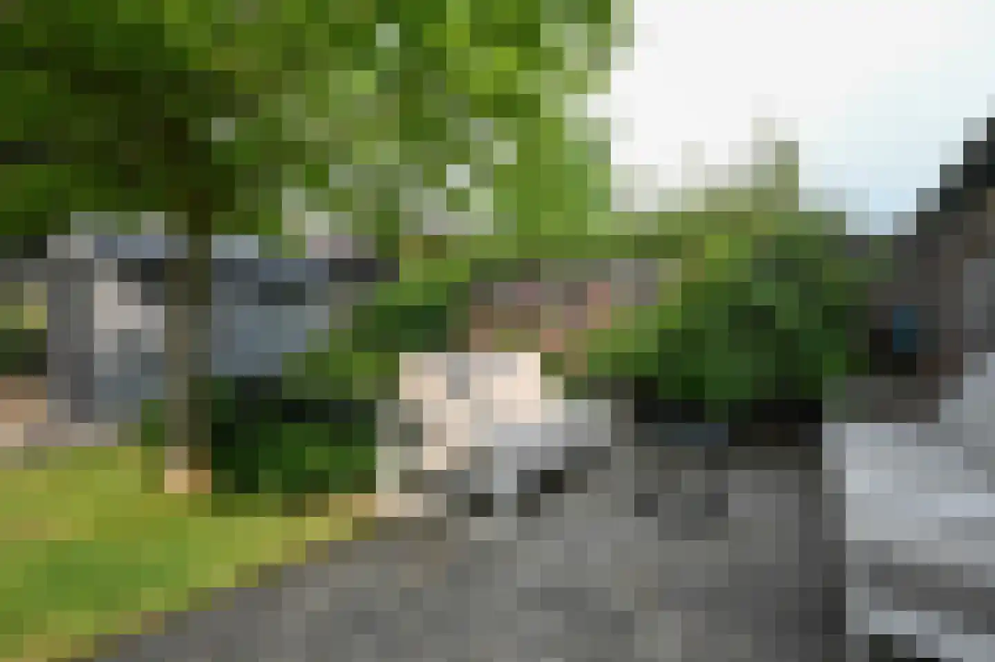Selijnsweg 64 Waverveen thumbnail 30