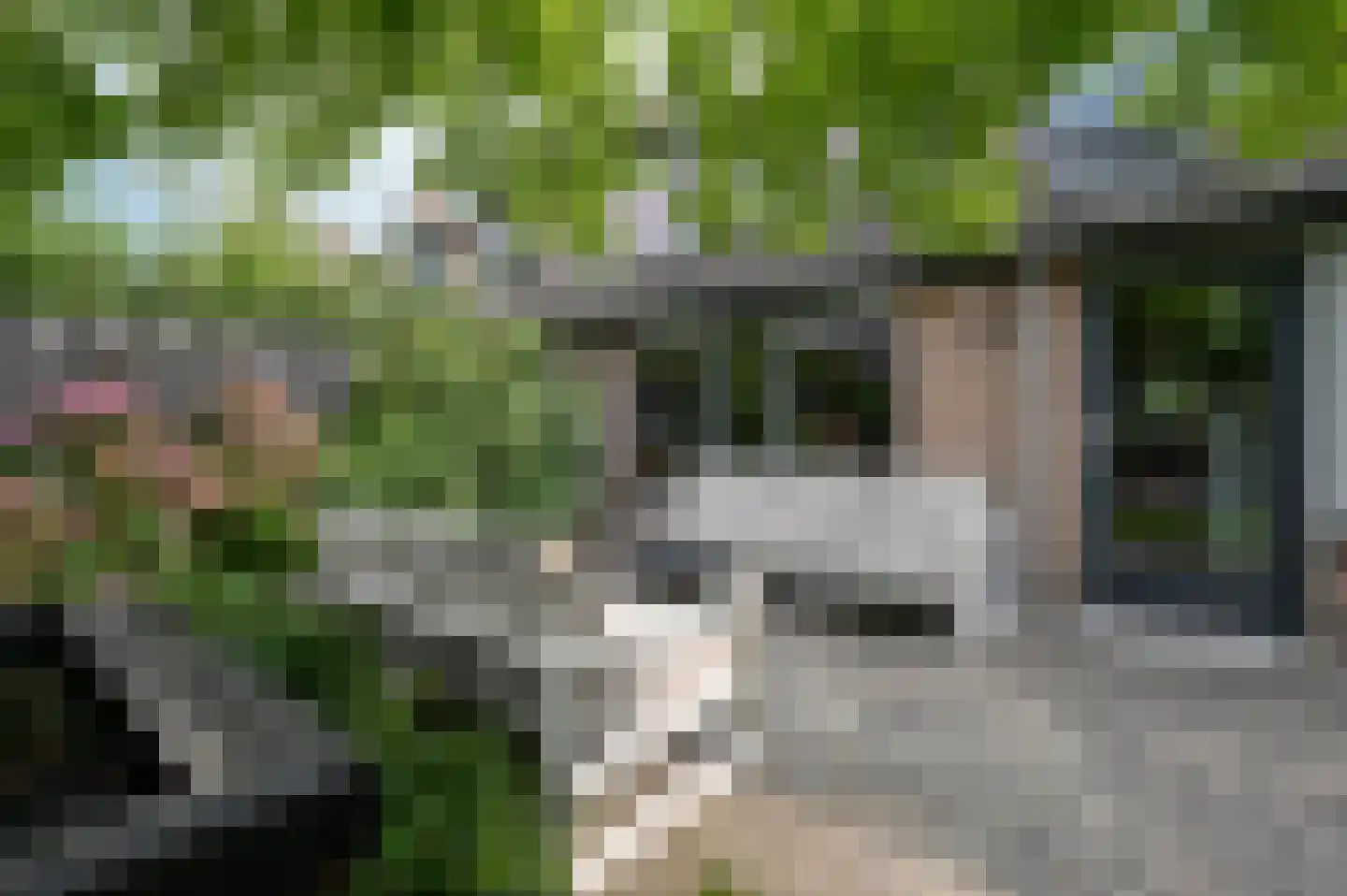 Selijnsweg 64 Waverveen thumbnail 31