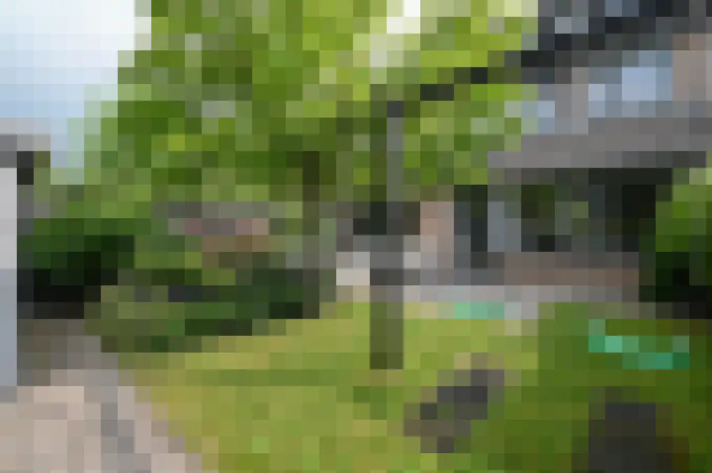 Selijnsweg 64 Waverveen thumbnail 33