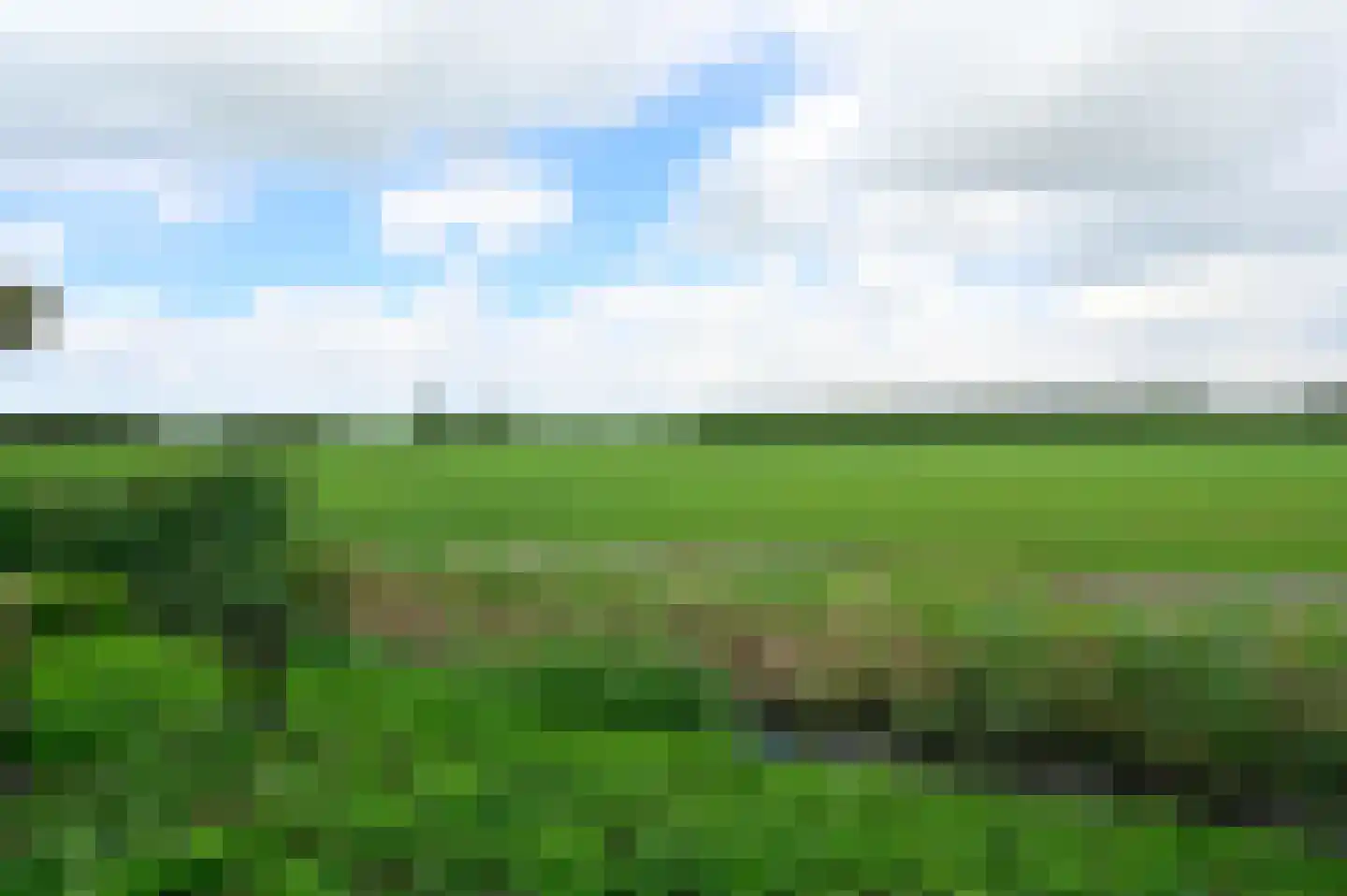 Selijnsweg 64 Waverveen thumbnail 39