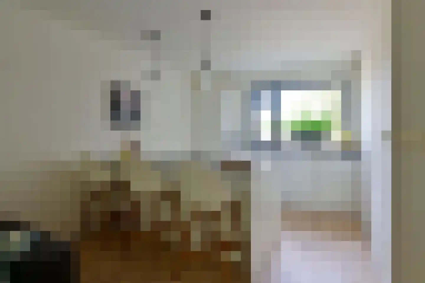 Selijnsweg 64 Waverveen thumbnail 4