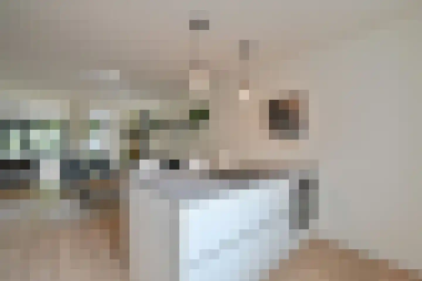 Selijnsweg 64 Waverveen thumbnail 9