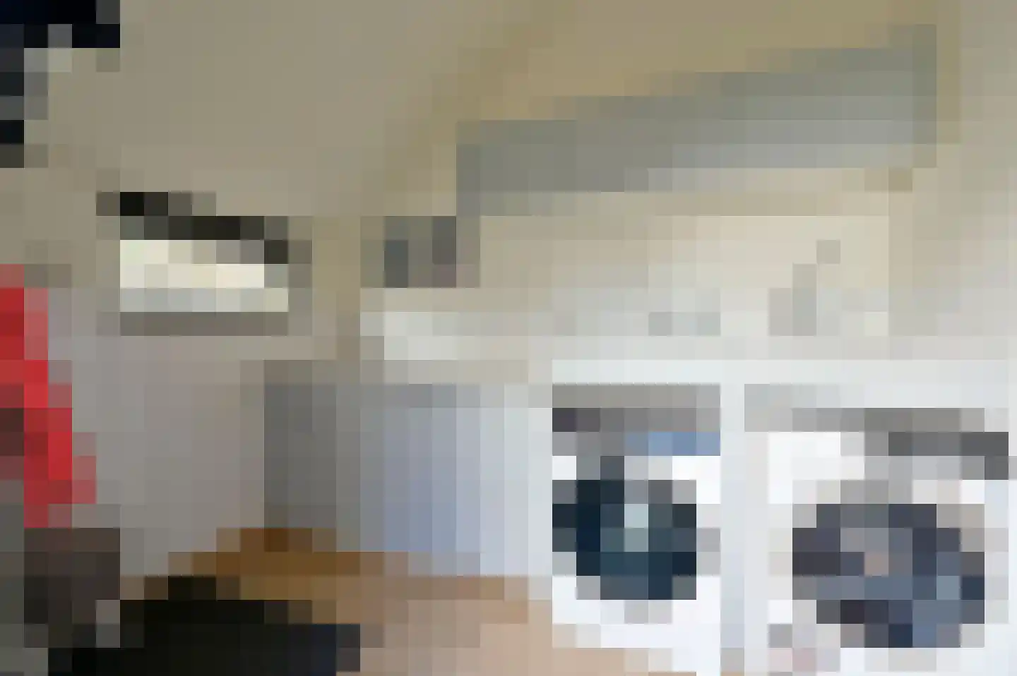 Selijnsweg 64 Waverveen thumbnail 9