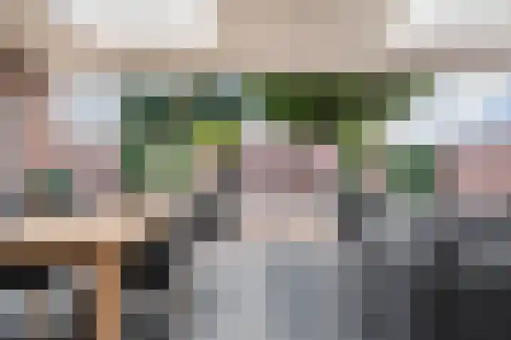 Selissenwal 34 Boxtel thumbnail 23