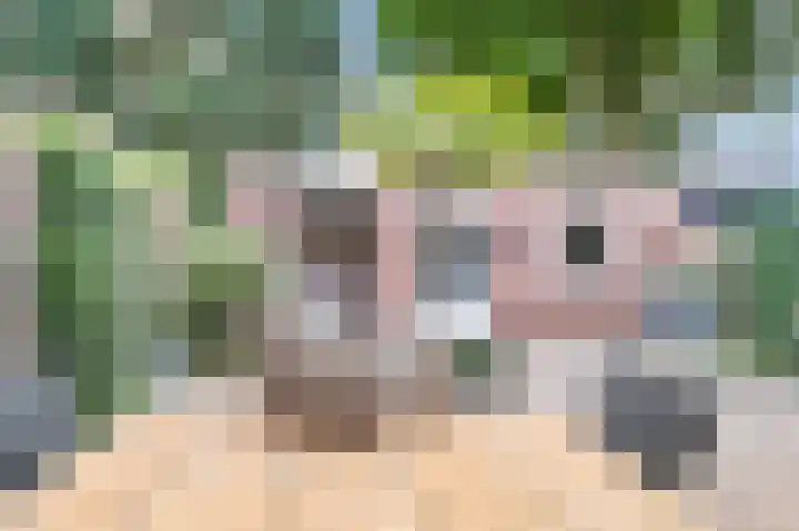 Selissenwal 34 Boxtel thumbnail 26
