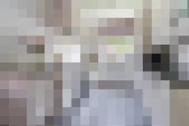 Sella 14 Veldhoven thumbnail 10