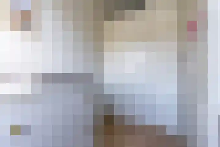 Sella 14 Veldhoven thumbnail 17