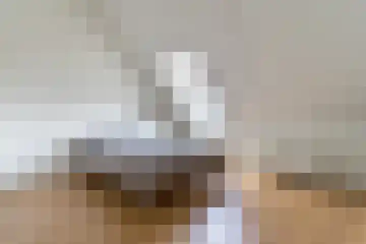 Sella 14 Veldhoven thumbnail 24