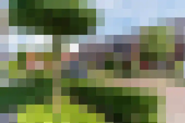 Sella 14 Veldhoven thumbnail 36
