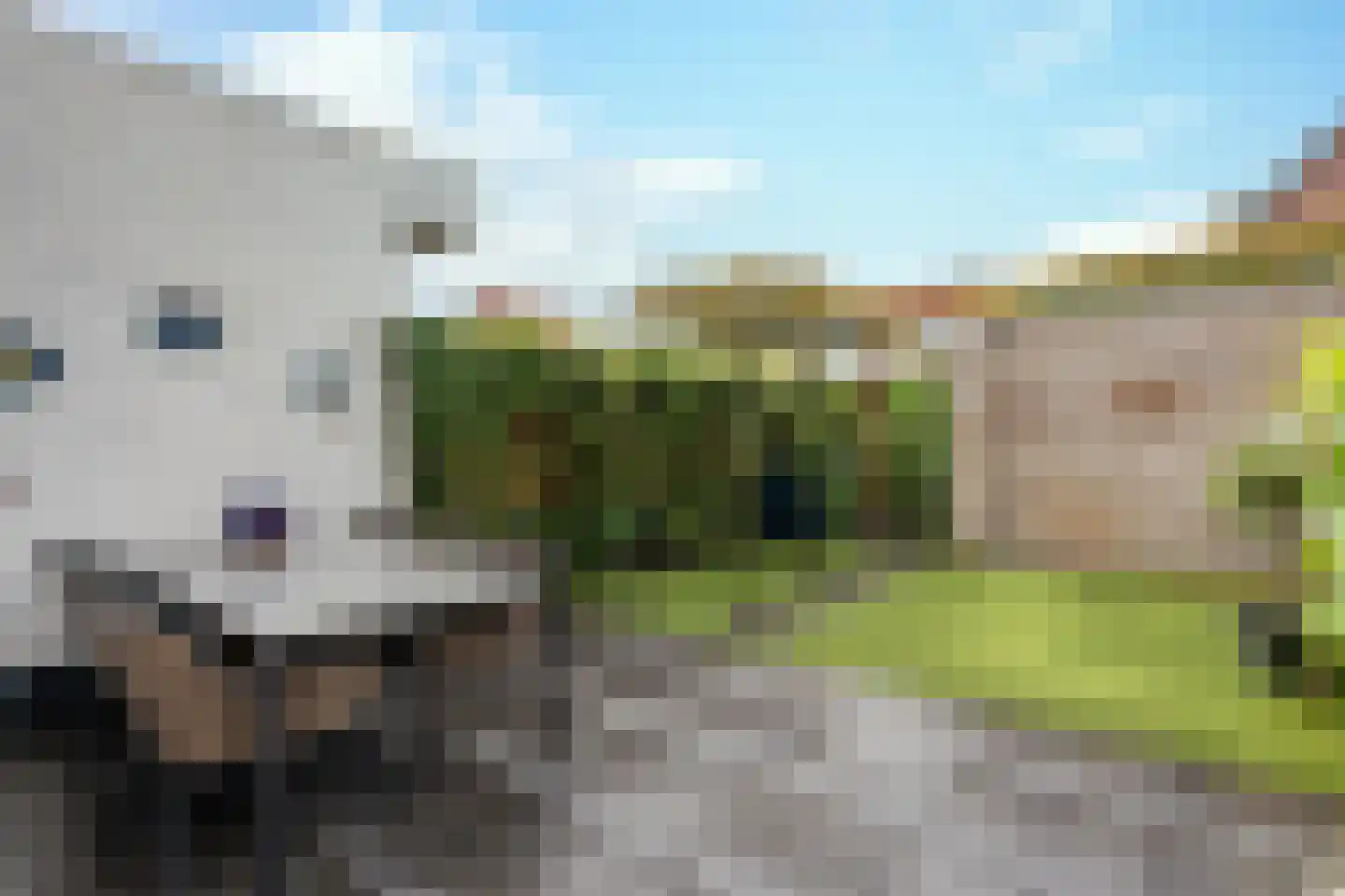 Sella 16 Veldhoven thumbnail 33