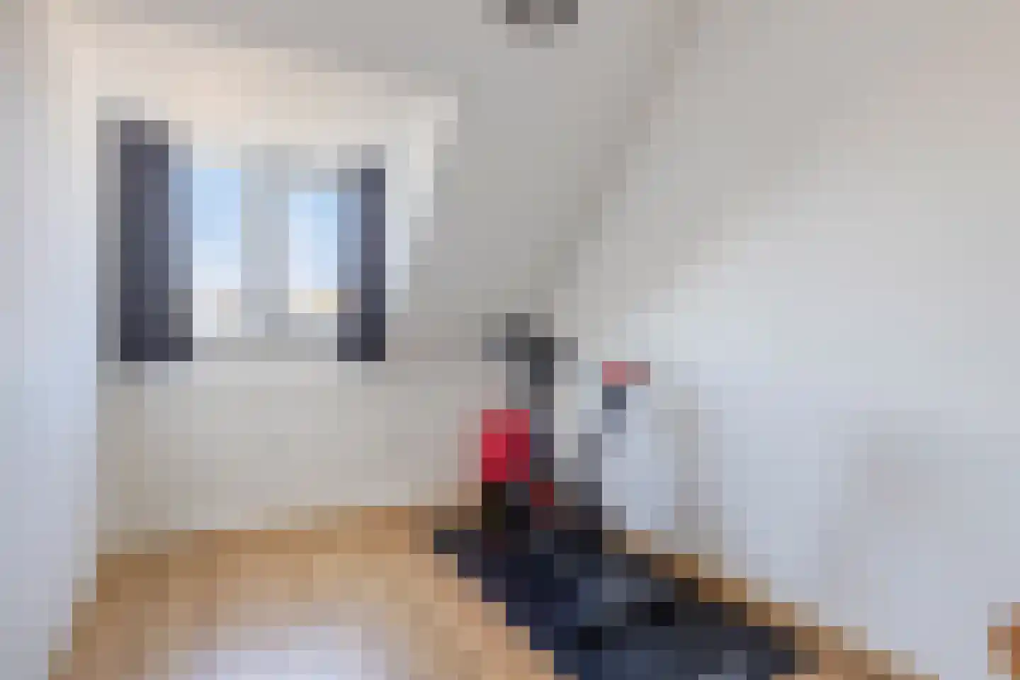 Sella 23 Veldhoven thumbnail 25