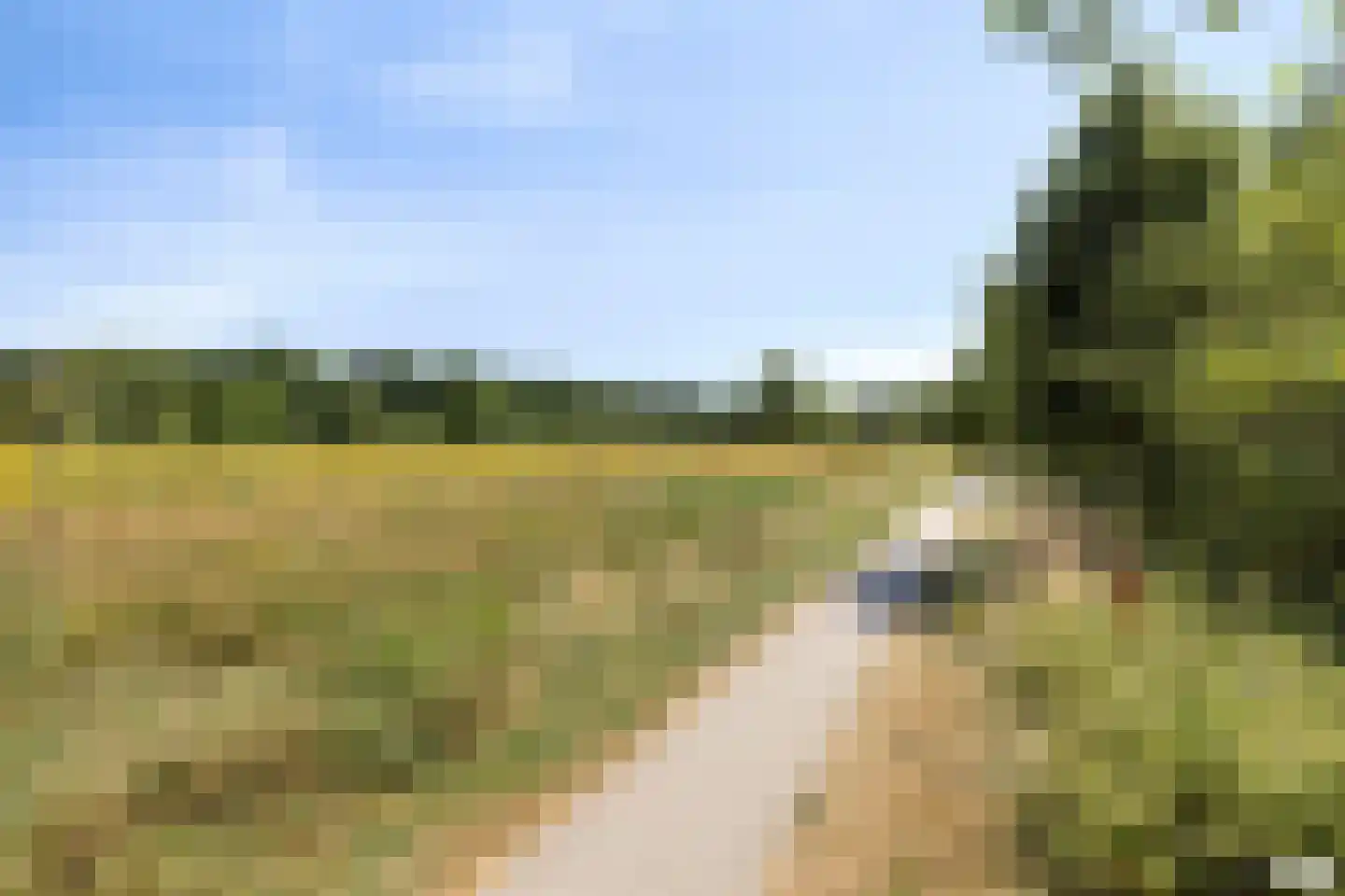 Sella 23 Veldhoven thumbnail 35