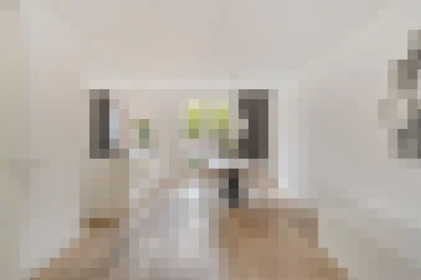 Sella 27 Veldhoven thumbnail 15