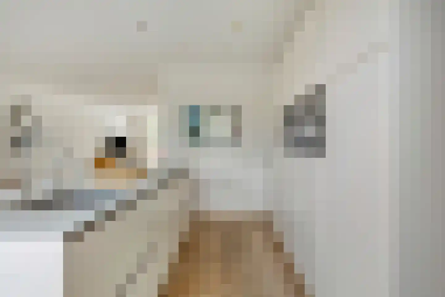 Sella 27 Veldhoven thumbnail 21