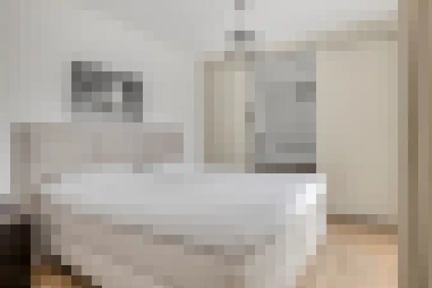 Sella 27 Veldhoven thumbnail 27