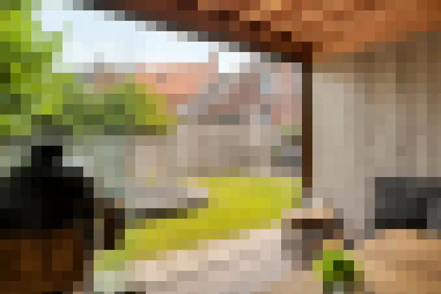 Sella 27 Veldhoven thumbnail 44