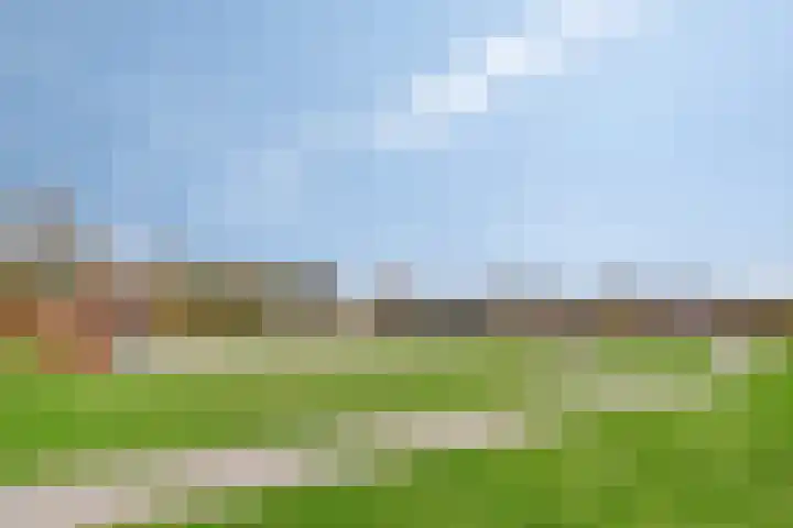 Sella 4 Veldhoven thumbnail 36