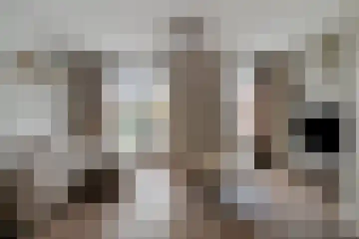 Sella 4 Veldhoven thumbnail 5