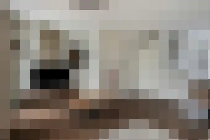 Sella 4 Veldhoven thumbnail 6