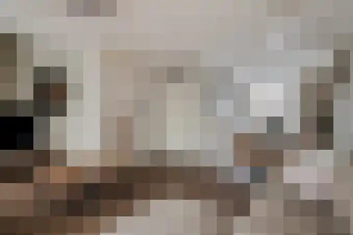 Sella 4 Veldhoven thumbnail 7