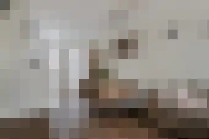 Sella 4 Veldhoven thumbnail 8