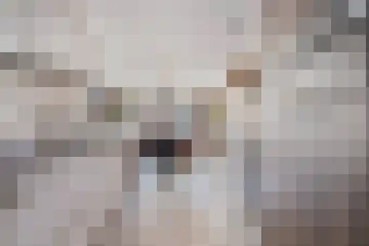 Sella 6 Veldhoven thumbnail 11