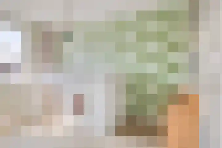 Sella 6 Veldhoven thumbnail 19