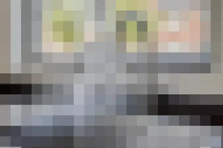 Sella 8 Veldhoven thumbnail 15