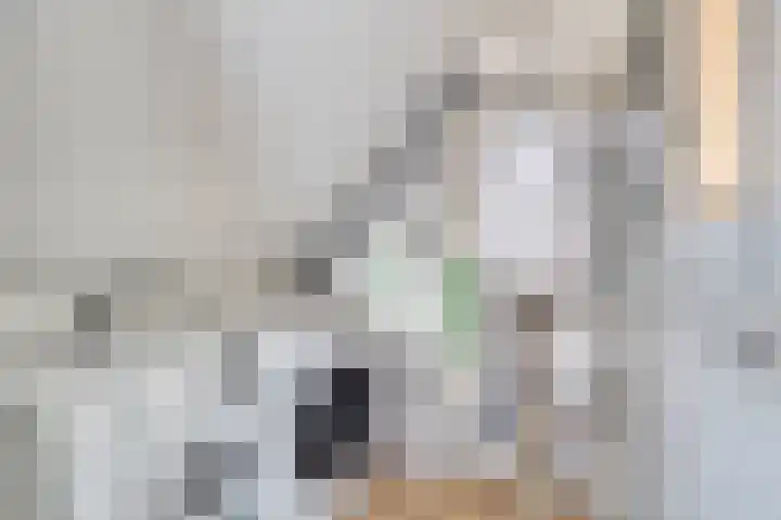 Sella 8 Veldhoven thumbnail 27