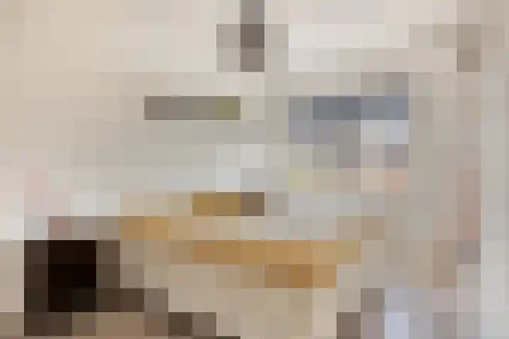 Sella 9 Veldhoven thumbnail 11