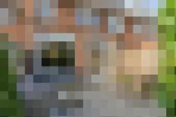 Sella 9 Veldhoven thumbnail 23