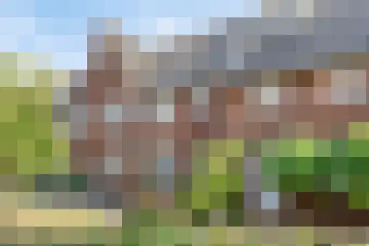 Sella 9 Veldhoven thumbnail 27